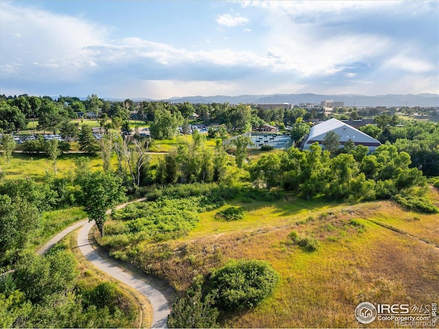 8485 S Piney Point St, Highlands Ranch, CO 80126 - photo 38