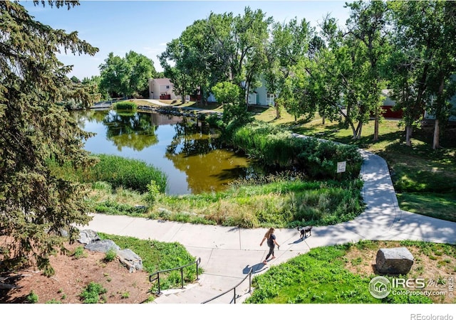 12126 Melody Dr Unit 304, Westminster, CO 80234 - photo 17