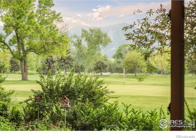 1409 Old Tale Rd, Boulder, CO 80303 - photo 3