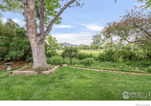 1409 Old Tale Rd, Boulder, CO 80303 - photo 38