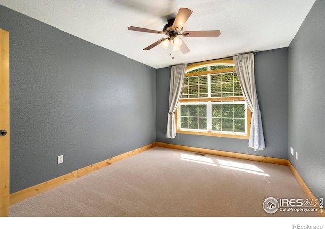 8436 Stay Sail Dr, Windsor, CO 80528 - photo 20