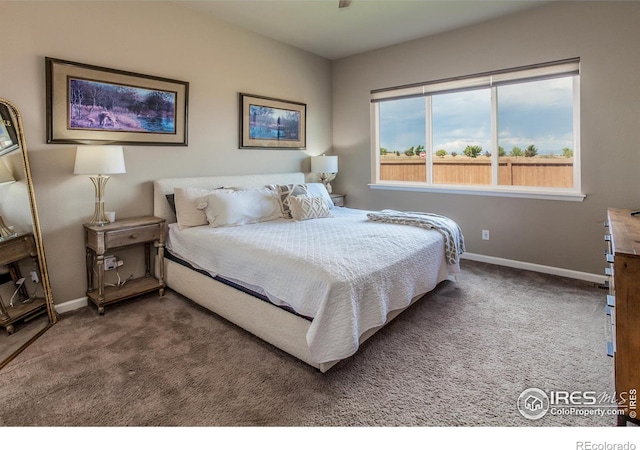 1231 105th Avenue Ct, Greeley, CO 80634 - photo 24