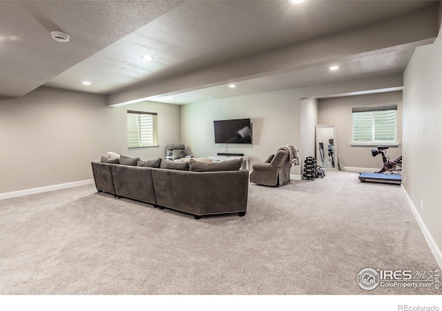 1231 105th Avenue Ct, Greeley, CO 80634 - photo 29