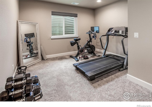 1231 105th Avenue Ct, Greeley, CO 80634 - photo 31