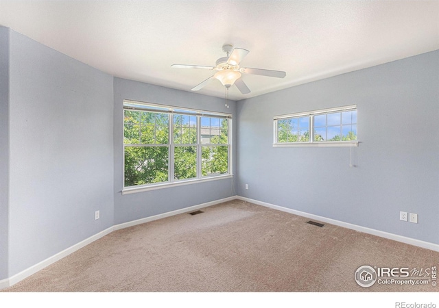 6345 Chardonnay St Unit 1, Evans, CO 80634 - photo 9