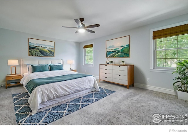 10995 W Half Moon Pass, Littleton, CO 80127 - photo 13