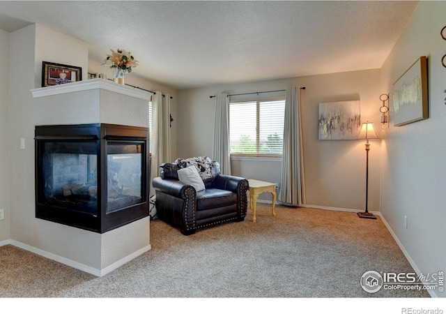 1995 E 166th Ave, Thornton, CO 80602 - photo 14