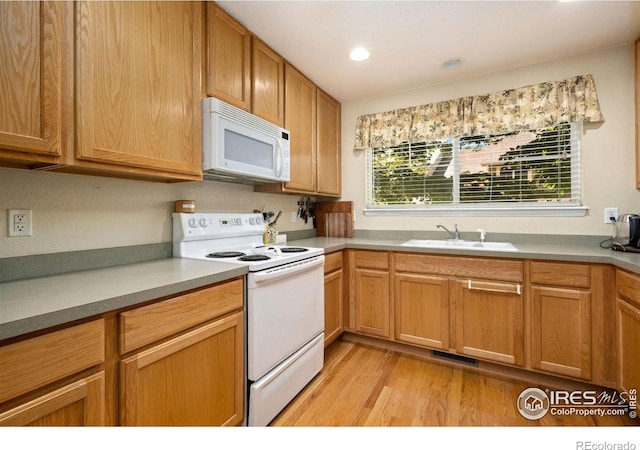 5234 Cornerstone Dr, Fort Collins, CO 80528 - photo 9