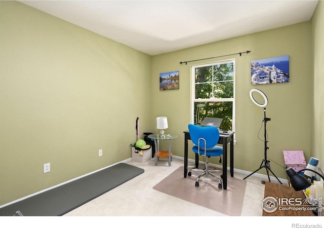 5234 Cornerstone Dr, Fort Collins, CO 80528 - photo 18