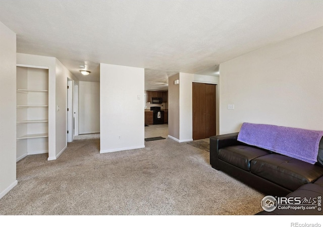 132 W 47th Pl Unit 1, Loveland, CO 80538 - photo 11