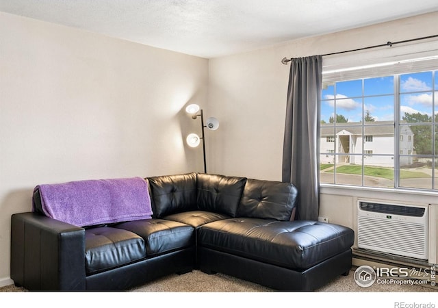 132 W 47th Pl Unit 1, Loveland, CO 80538 - photo 14