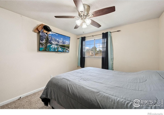 132 W 47th Pl Unit 1, Loveland, CO 80538 - photo 26