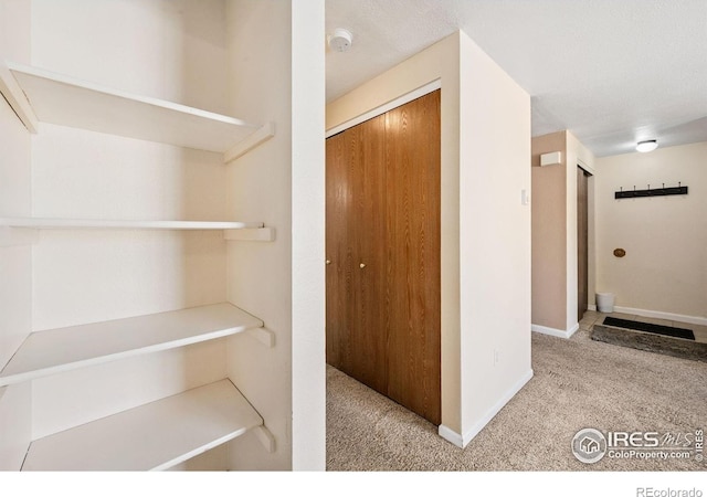 132 W 47th Pl Unit 1, Loveland, CO 80538 - photo 32