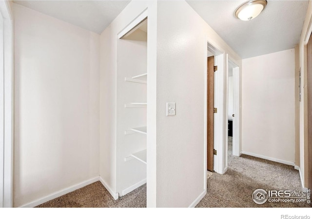 132 W 47th Pl Unit 1, Loveland, CO 80538 - photo 35