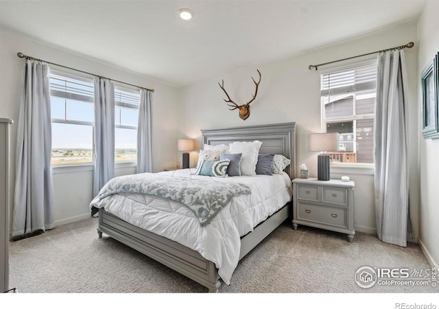 13722 Siltstone St, Longmont, CO 80504 - photo 16