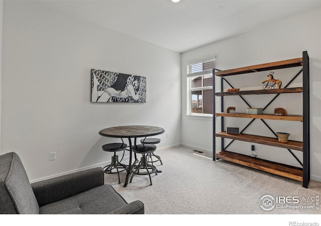 13722 Siltstone St, Longmont, CO 80504 - photo 23