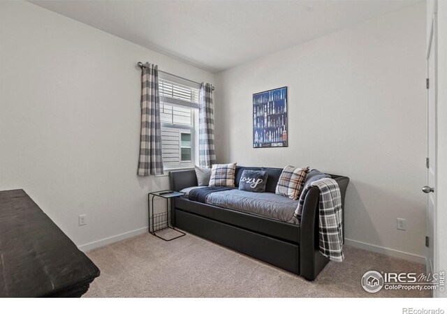 13722 Siltstone St, Longmont, CO 80504 - photo 20