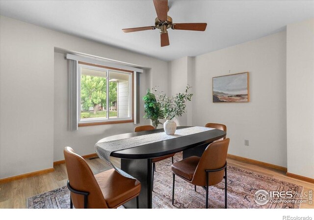 1938 Silvergate Rd, Fort Collins, CO 80526 - photo 14