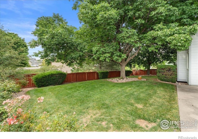 1938 Silvergate Rd, Fort Collins, CO 80526 - photo 32
