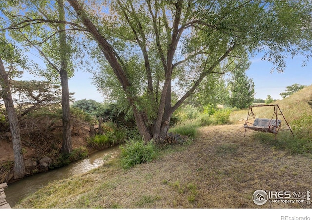 4625 E County Road 52, Fort Collins, CO 80524 - photo 5
