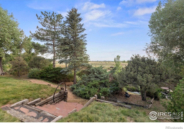 4625 E County Road 52, Fort Collins, CO 80524 - photo 38