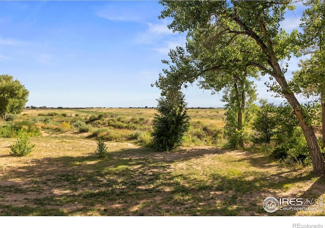 4625 E County Road 52, Fort Collins, CO 80524 - photo 39