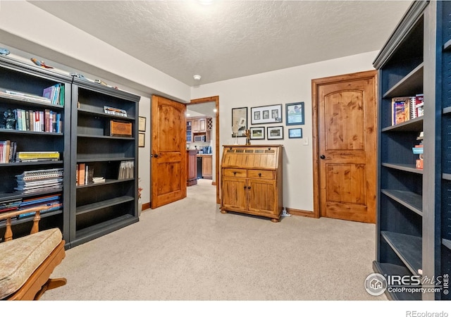 1531 64th Avenue Ct, Greeley, CO 80634 - photo 34