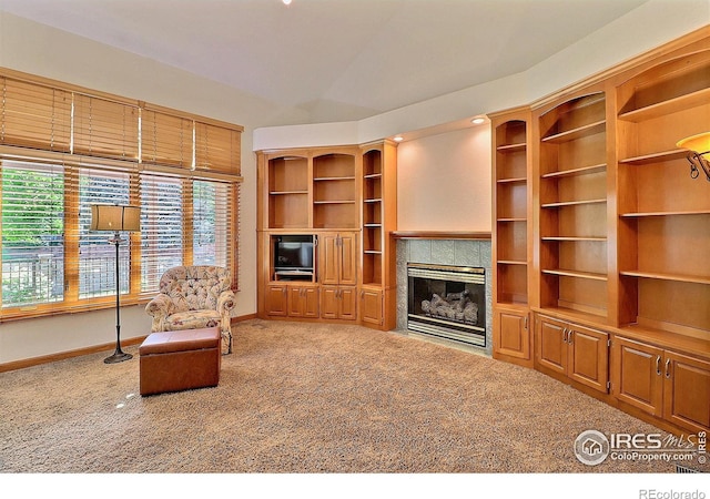 4667 W 21st Street Cir, Greeley, CO 80634 - photo 19