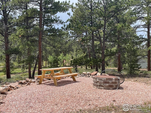 416 Comanche Cir, Red Feather Lakes, CO 80545 - photo 11