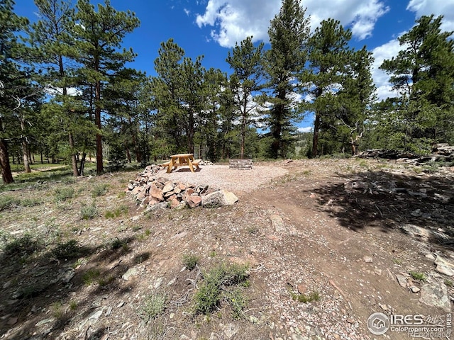 416 Comanche Cir, Red Feather Lakes, CO 80545 - photo 12