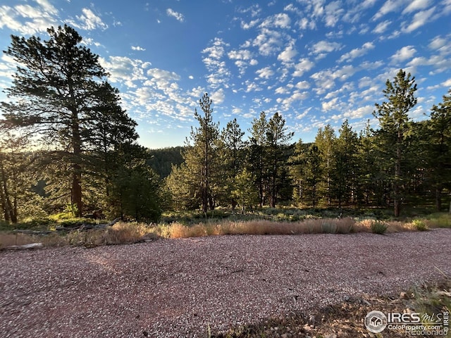 416 Comanche Cir, Red Feather Lakes, CO 80545 - photo 13