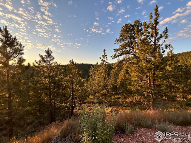 416 Comanche Cir, Red Feather Lakes, CO 80545 - photo 15