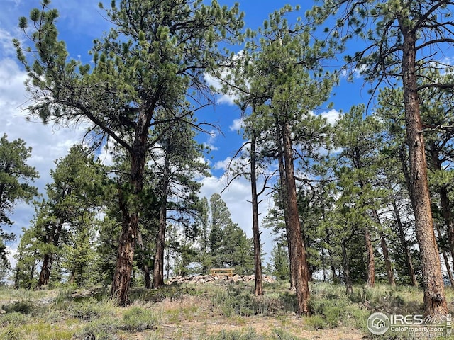 416 Comanche Cir, Red Feather Lakes, CO 80545 - photo 17
