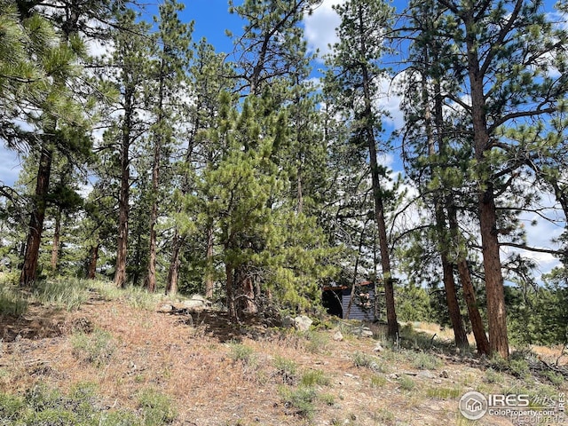 416 Comanche Cir, Red Feather Lakes, CO 80545 - photo 18