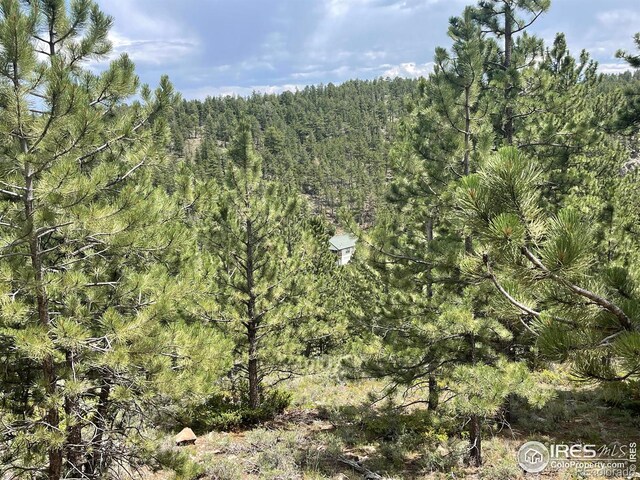 416 Comanche Cir, Red Feather Lakes, CO 80545 - photo 19