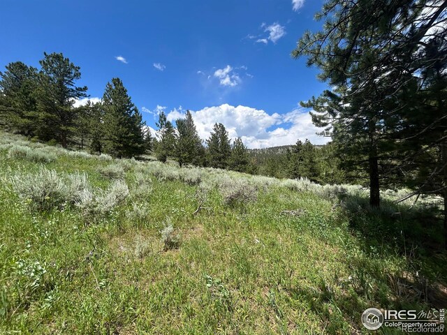416 Comanche Cir, Red Feather Lakes, CO 80545 - photo 20