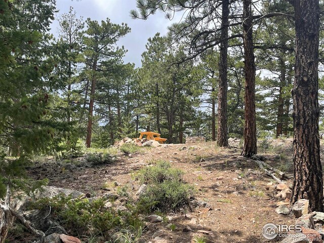 416 Comanche Cir, Red Feather Lakes, CO 80545 - photo 21