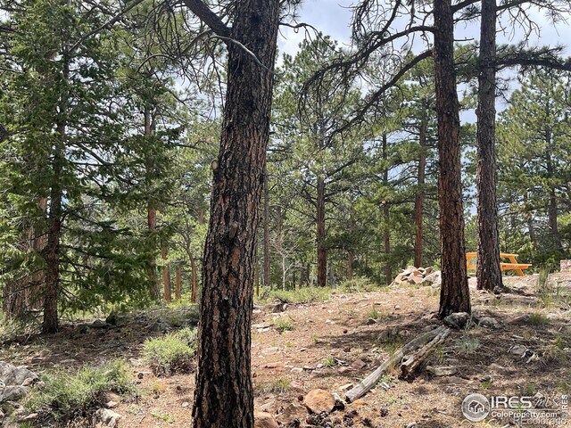416 Comanche Cir, Red Feather Lakes, CO 80545 - photo 23