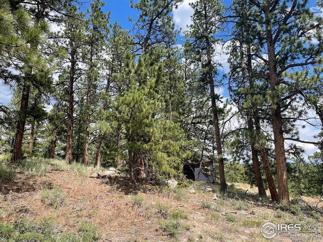 416 Comanche Cir, Red Feather Lakes, CO 80545 - photo 24