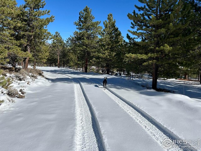 416 Comanche Cir, Red Feather Lakes, CO 80545 - photo 25