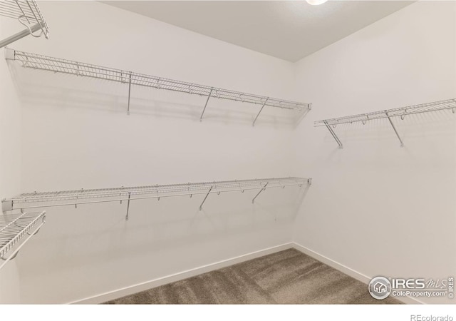 194 Starlight Cir, Erie, CO 80516 - photo 19