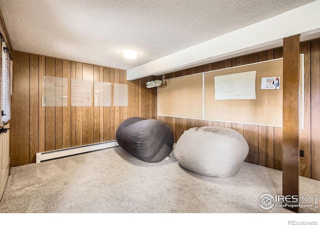 1729 Elim Ct, Fort Collins, CO 80524 - photo 22