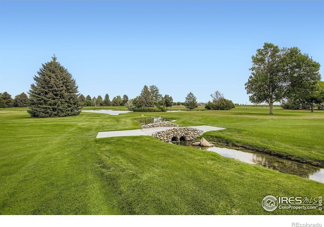 1729 Elim Ct, Fort Collins, CO 80524 - photo 32