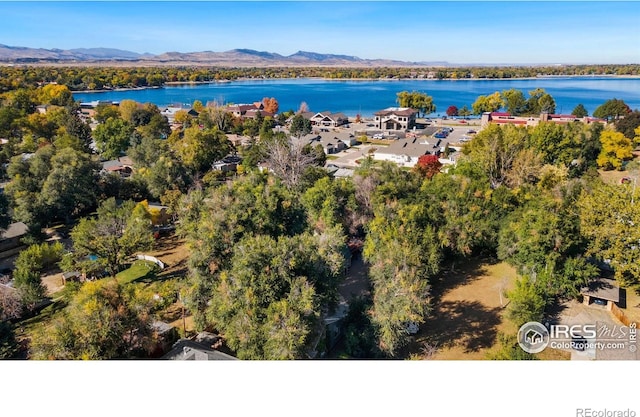 643 W 10th St, Loveland, CO 80537 - photo 36