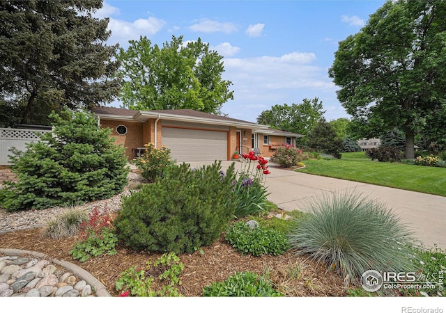 1920 Sequoia St, Fort Collins, CO 80525 - photo 3