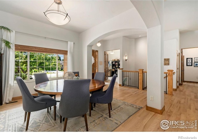 4909 Pyrenees Dr, Fort Collins, CO 80526 - photo 7