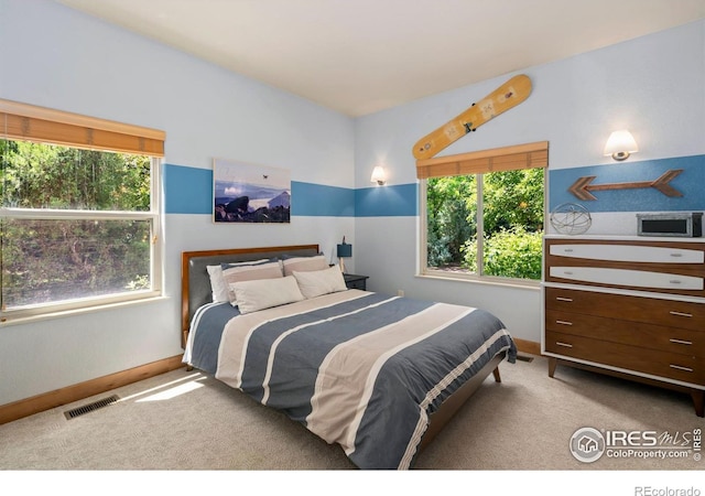4909 Pyrenees Dr, Fort Collins, CO 80526 - photo 24