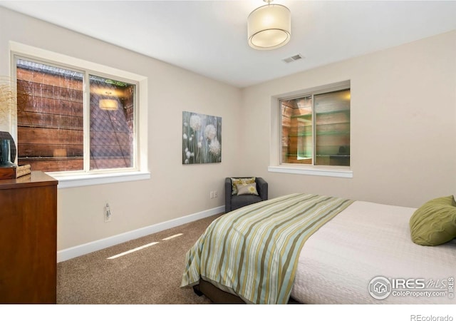 4909 Pyrenees Dr, Fort Collins, CO 80526 - photo 35