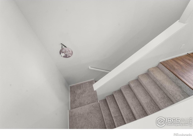 2614 Conquest St Unit A, Fort Collins, CO 80524 - photo 4