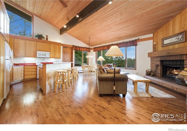 60 Aspen Ln, Red Feather Lakes, CO 80545 - photo 3